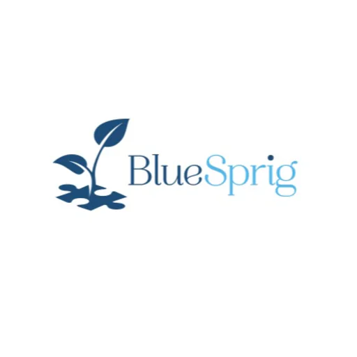 BlueSprig San Angelo - ABA Therapy for Autism