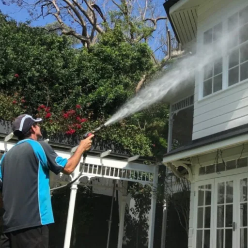 Daffys Wacky Cleaning Services