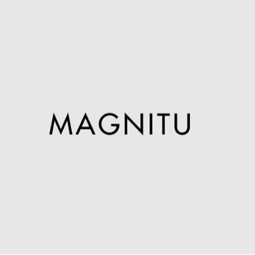 Magnitu Digital