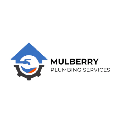 Mulberry Plumbing Services