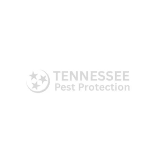 Tennessee Pest Protection